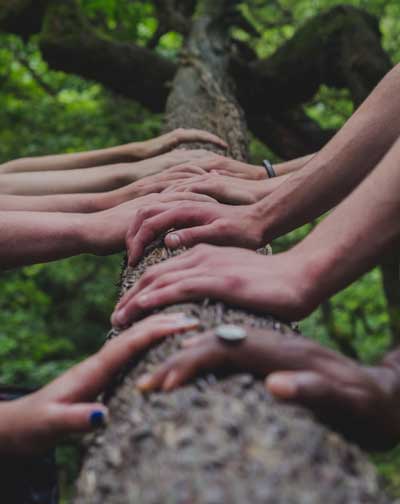 many hands on a tree trunk